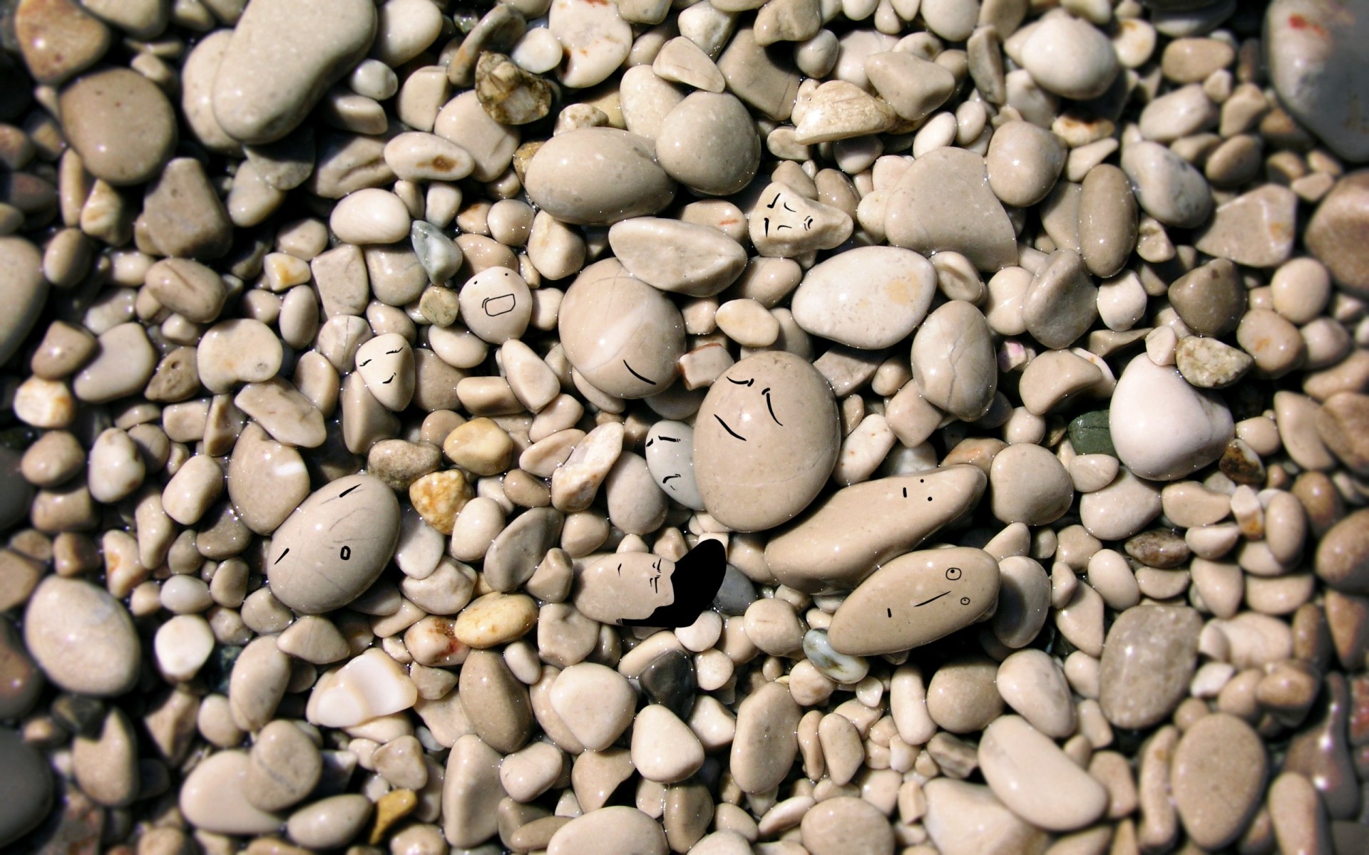 doku fasulye kaya masaüstü parti yakın çekim taş dil birçok kuru çakıl tohum pürüzsüz tahıl kahve soyut arnavut kaldırımı yemek hasat zen taşlar taşlar