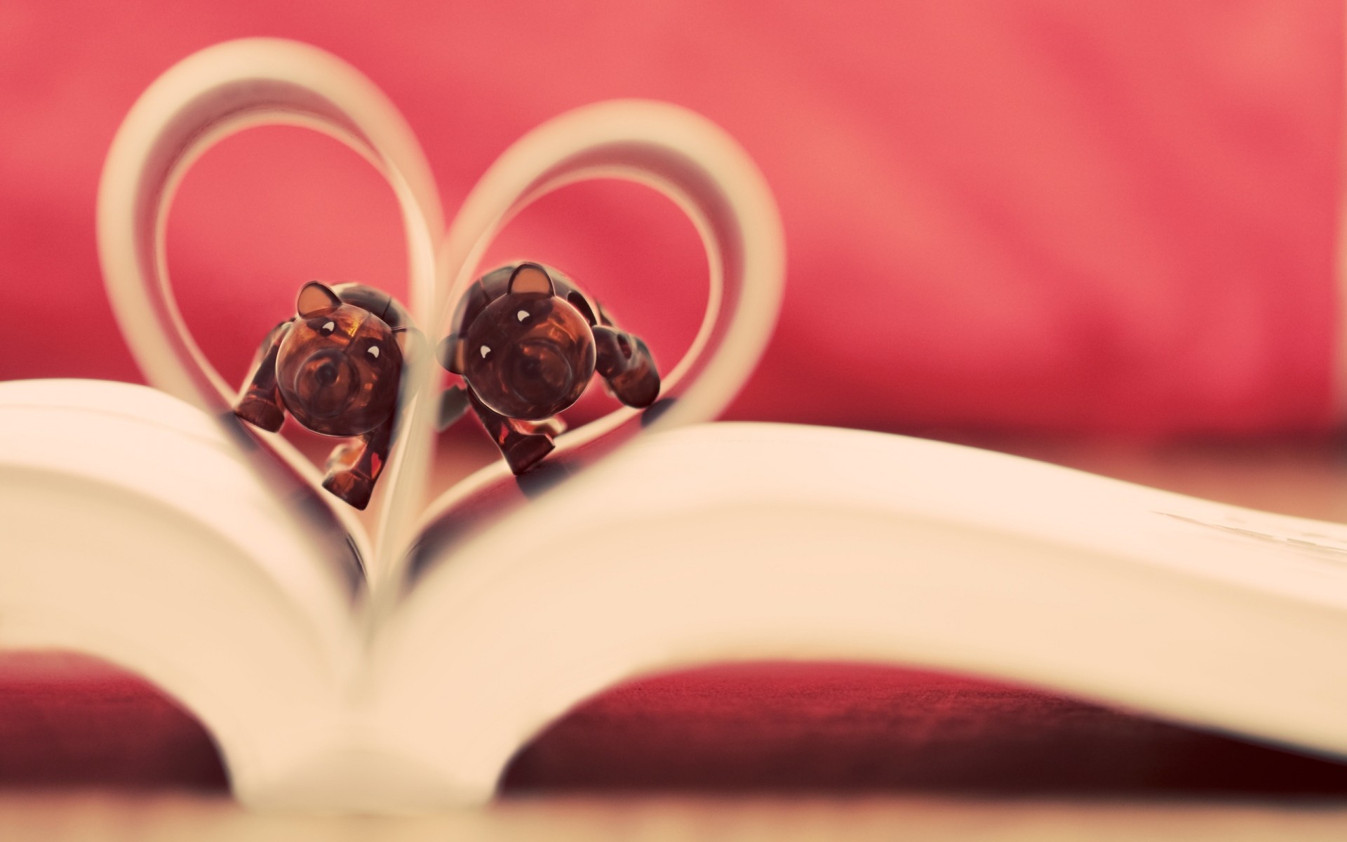 aşk düğün çiçek romantizm gül natürmort içme kalp