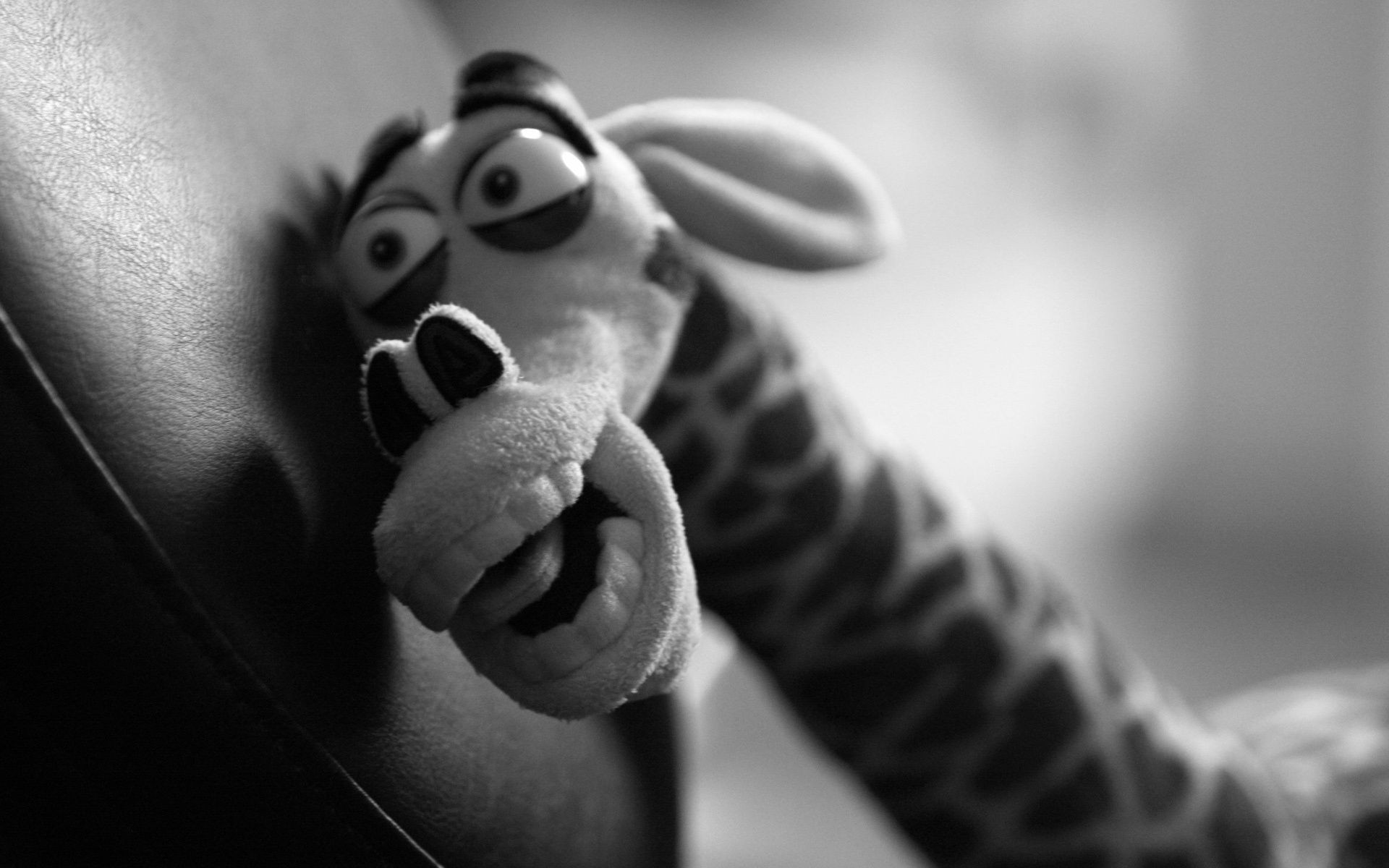 tek renkli adam portre yetişkin bir kız siyah ve beyaz kadın bacaklar dof çıplak eller