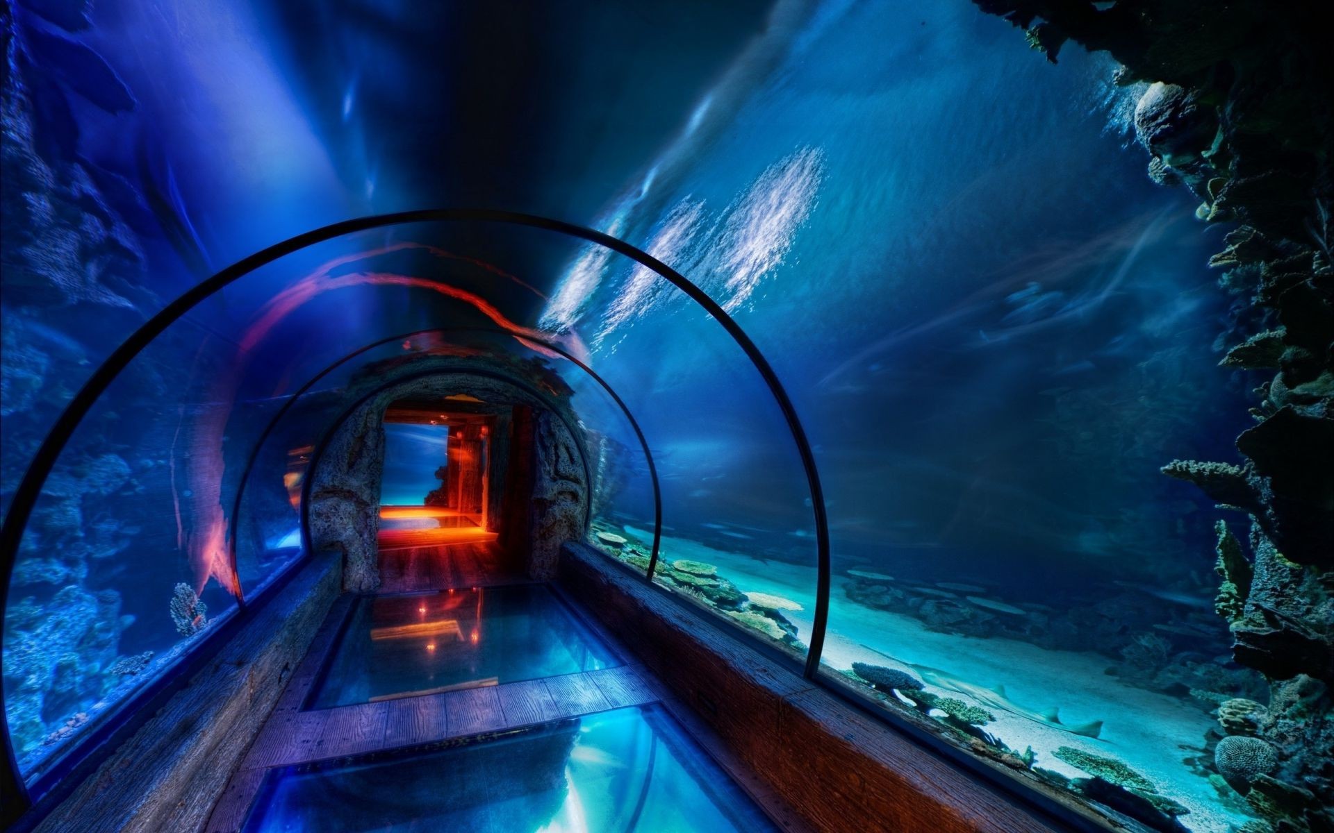 tünel ışık bulanıklık seyahat ulaşım sistemi hareketler akşamları trafik sıkışıklığı