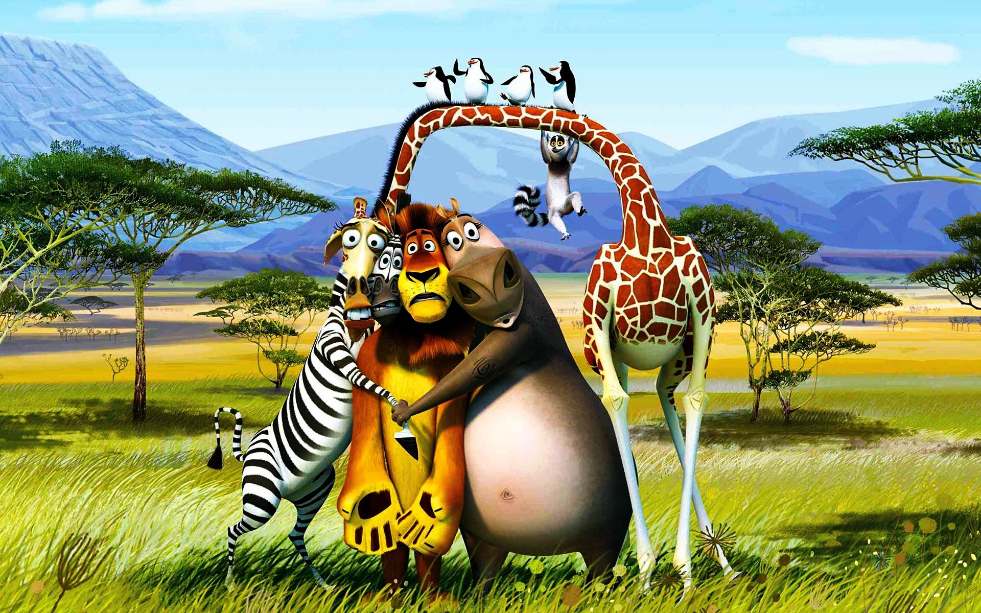 filmler doğa gökyüzü çimen yaz zevk penguenler çöl ağaçlar dağlar afrika kavalsky