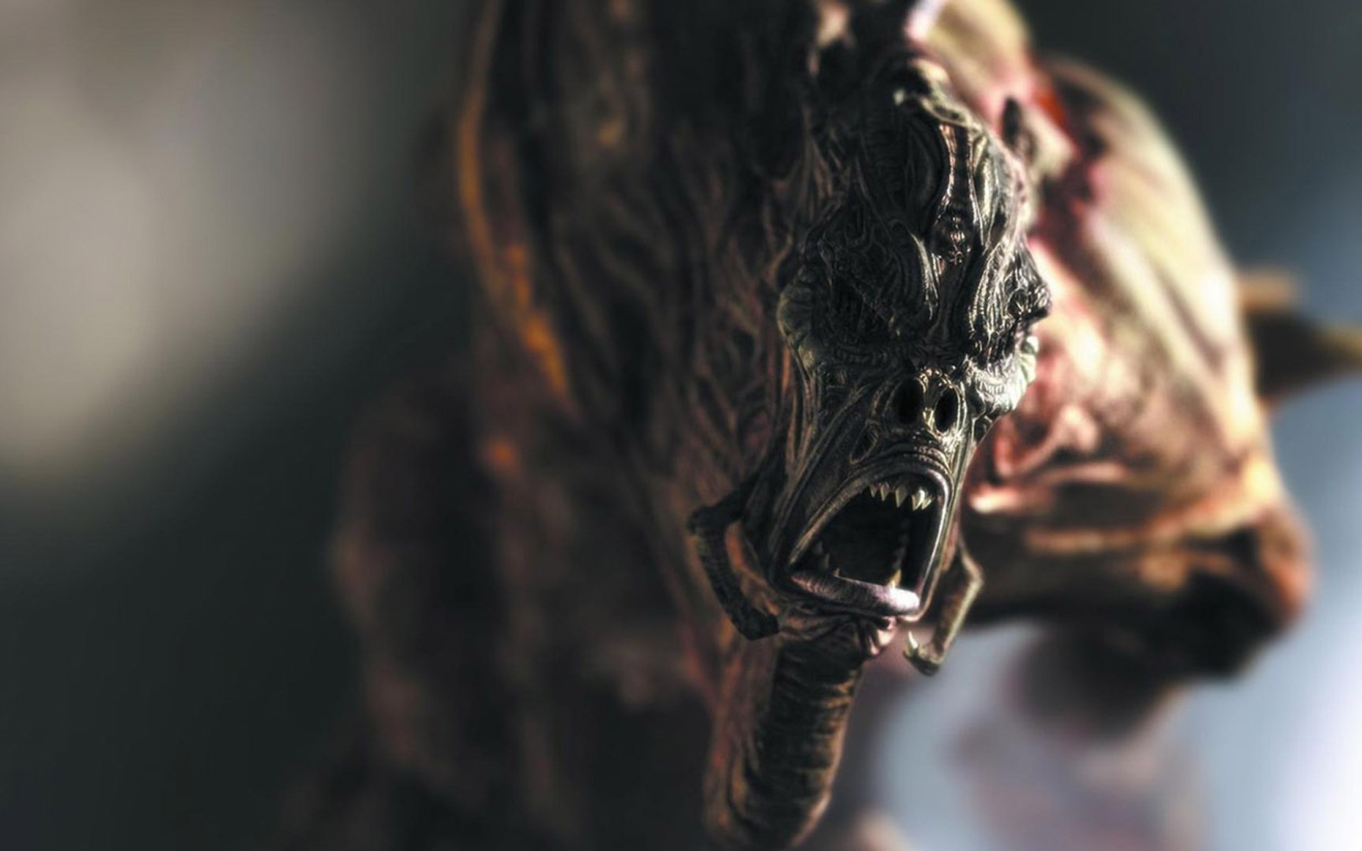 other games doğa portre bir hayvan yüz kuş yaban hayatı bulanıklık tehlike korku canavar aksiyon savaş