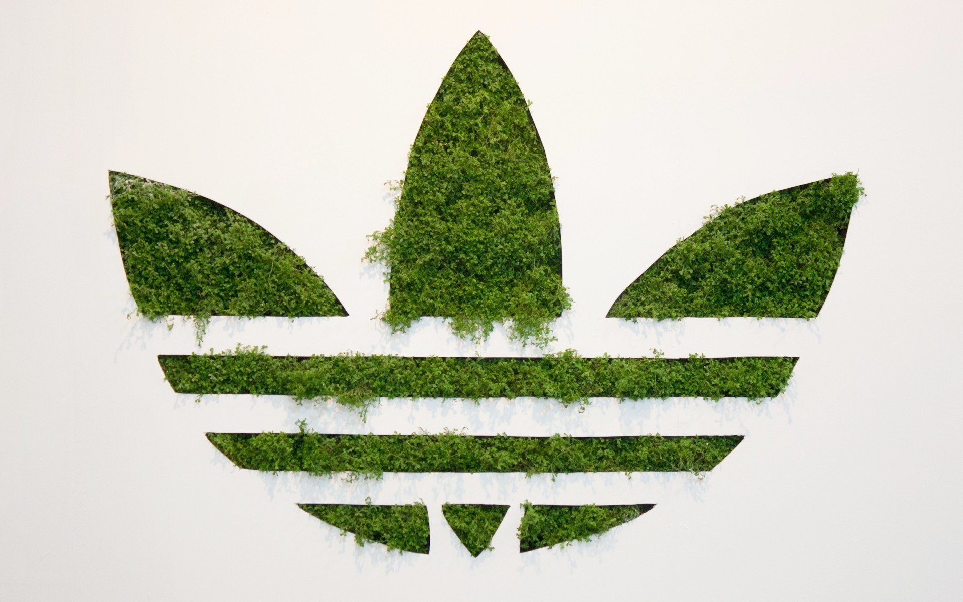 ağaç doğa yaprak çimen flora masaüstü sembol yeşil logo eko adidas adidas markası