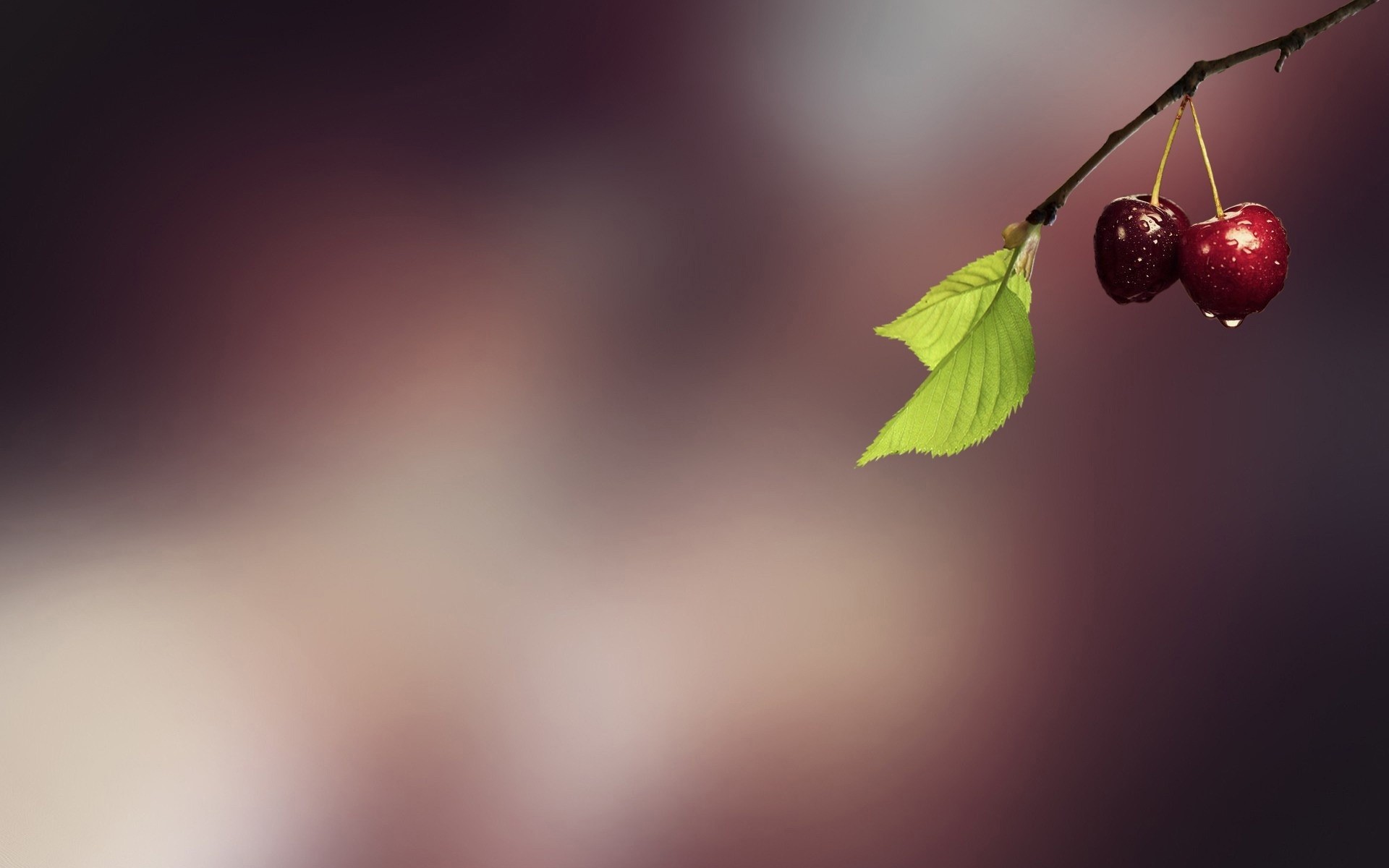 bulanıklık doğa yaprak soyut sanat kirazlar meyve