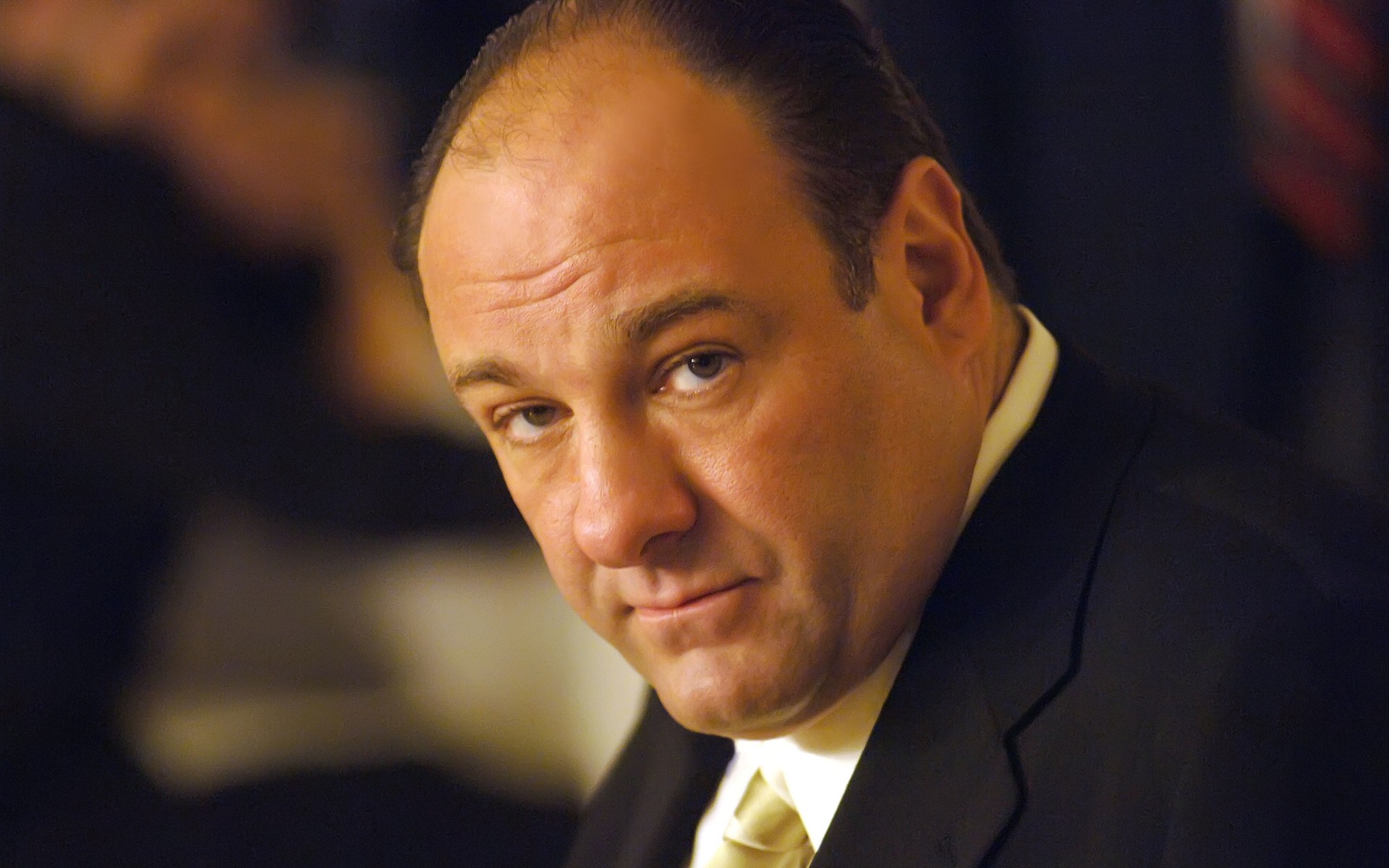 erkekler iş portre lider adam bir politikacı kıyafet yetişkin giyiyor yönetim james gandolfini