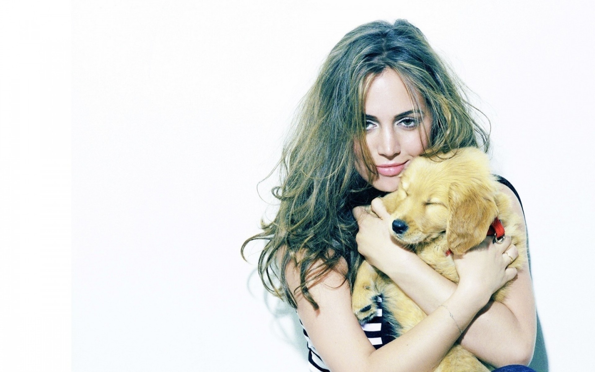 kız güzel genç kadın portre sevimli stüdyo moda masaüstü model oldukça saç seksi çekici izole sihir kıvırcık köpek yavrusu aktris