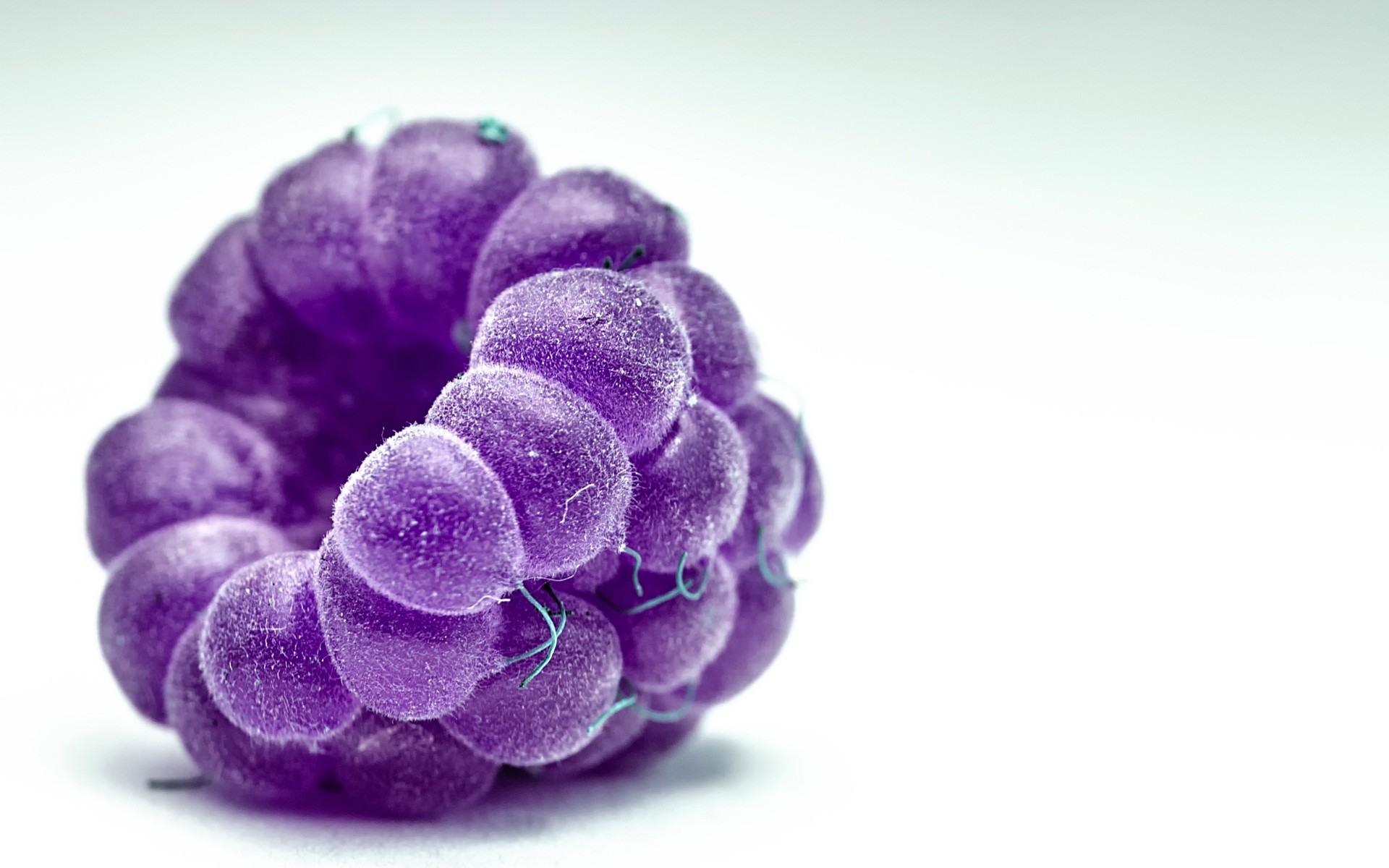 doğa masaüstü yakın çekim renk flora izole ahududu makro meyve berry