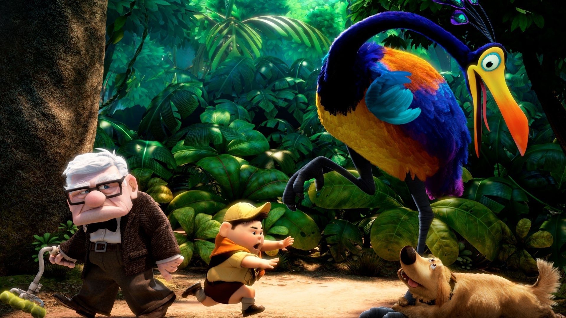 yabancı çizgi filmler hayvanat bahçesi doğa açık havada