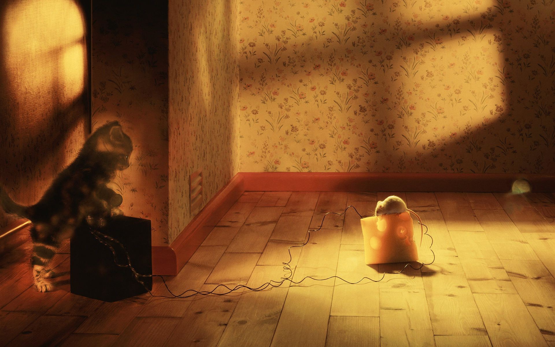 bir kapalı oda yetişkin ışık kız portre çıplak kadın giyiyor duvarlar