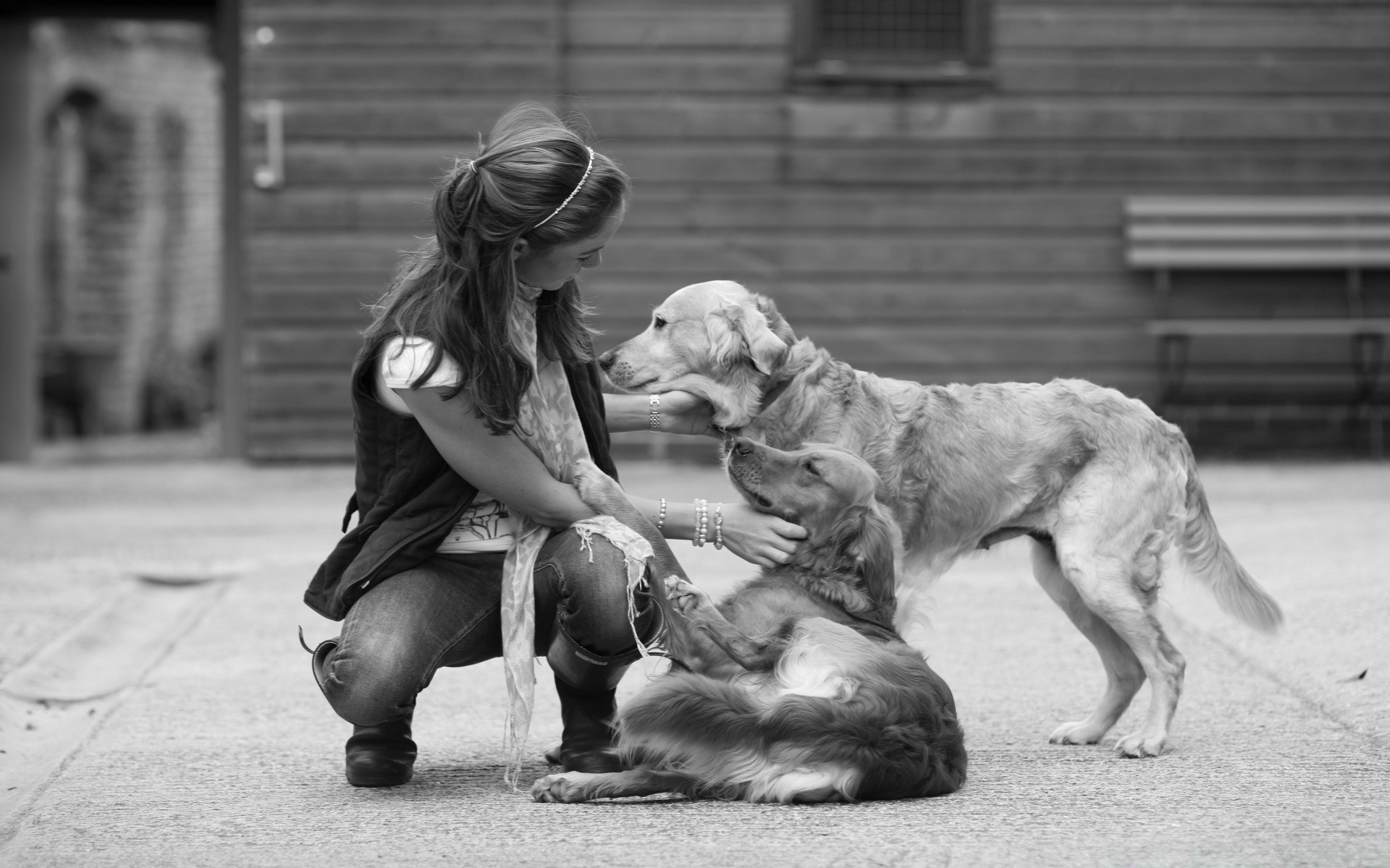 siyah-beyaz köpek yetişkin köpek eğitmeni bir çocuk tek renkli sokak iki kadın memeli portre