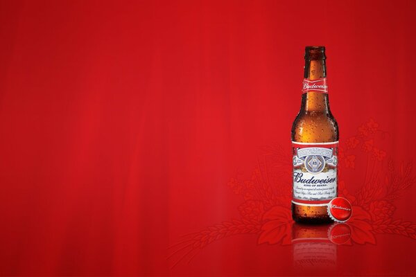 Kırmızı, şık bir arka plan üzerinde Budweiser birası