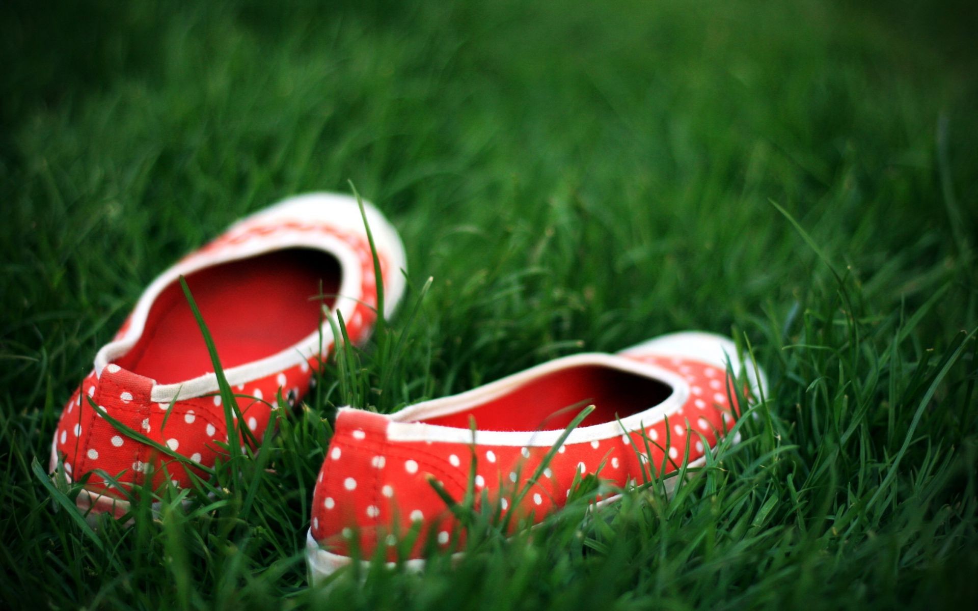 çimen yaz alan deri renk çim geri kalan ayakkabı açık havada iki saman biçme makinesi birkaç doğa yakın çekim