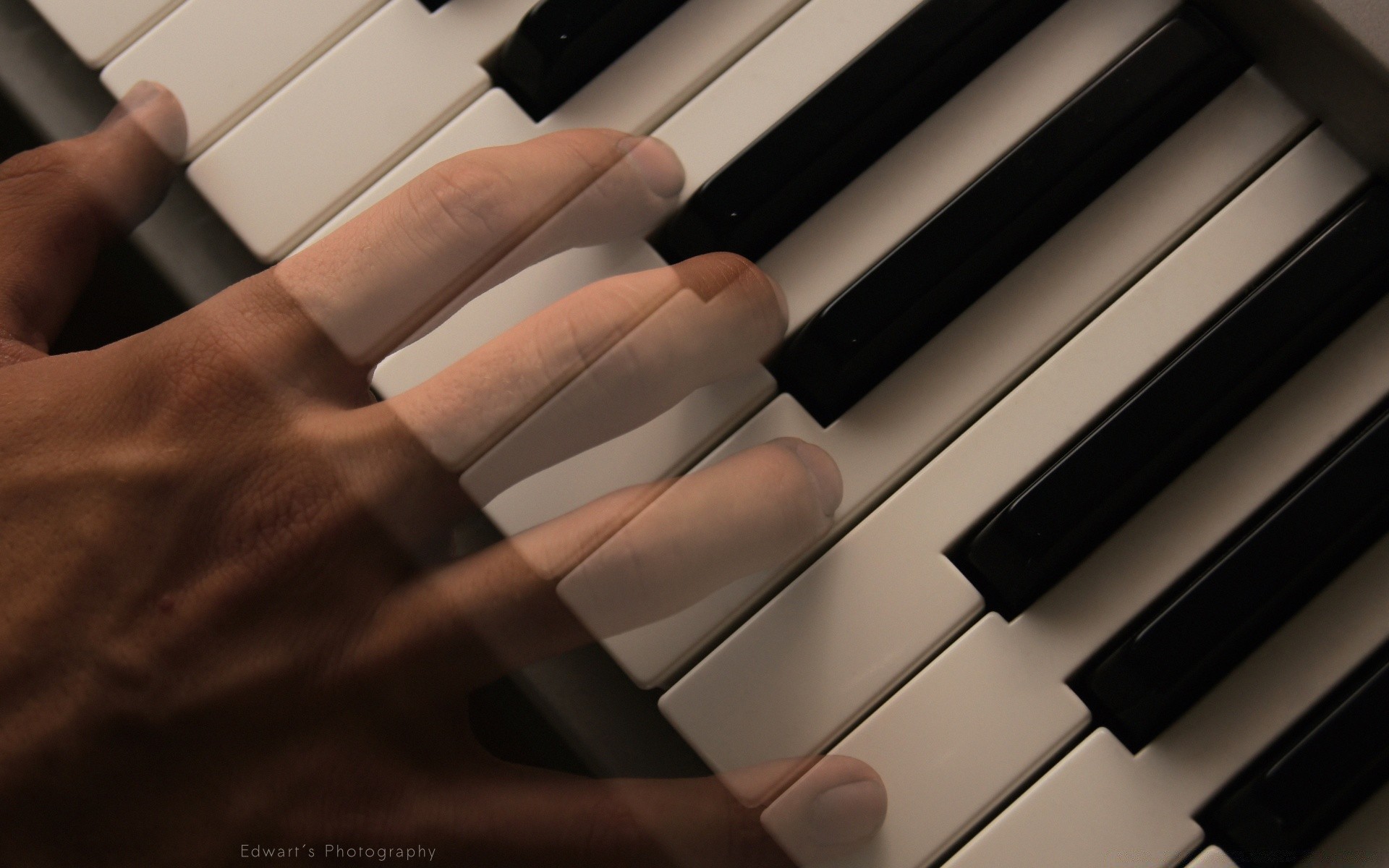 müzik piyano ebony enstrüman kedi synthesizer anahtar ses piyanist akor caz uyum klavye şarkı ritim müzisyen akustik klasik müzik konser müzik kompozisyonu