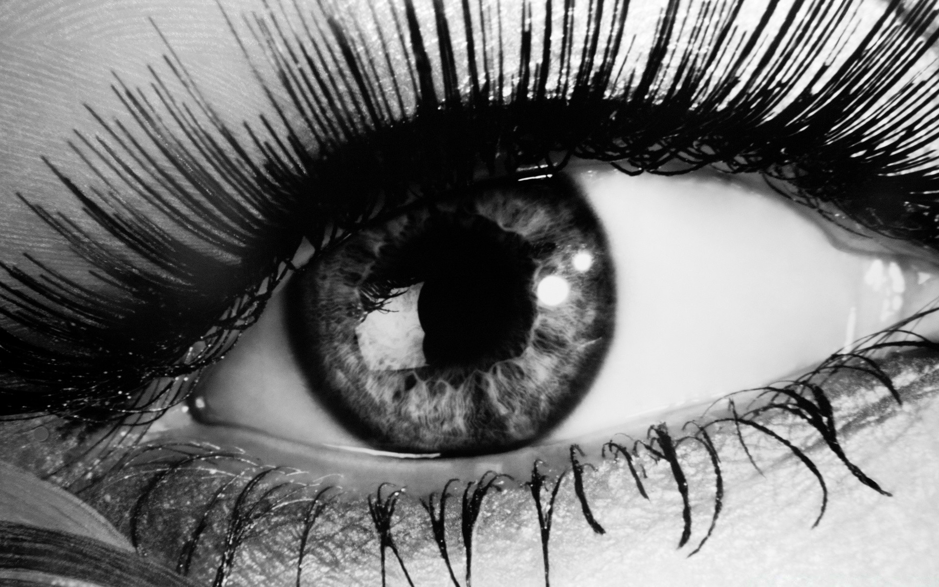 siyah beyaz kadın moda tek renkli cazibe portre kirpikler kız maskara yüz seksi cilt dudaklar göz saç yetişkin bir sanat model sanatsal
