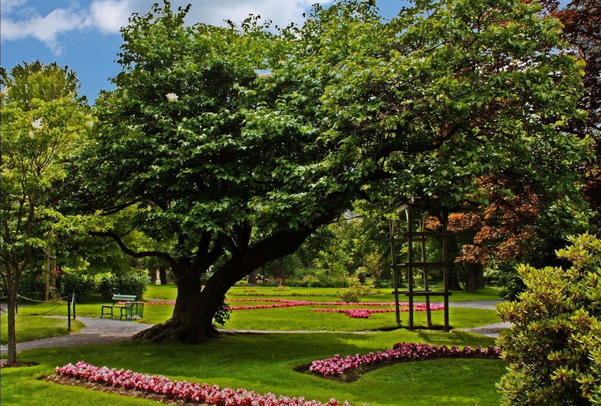 parklar ağaç bahçe yaprak park doğa manzara çimen açık havada çim çiçek yaz flora ahşap tezgah sezon çevre yemyeşil güzel hava doğal