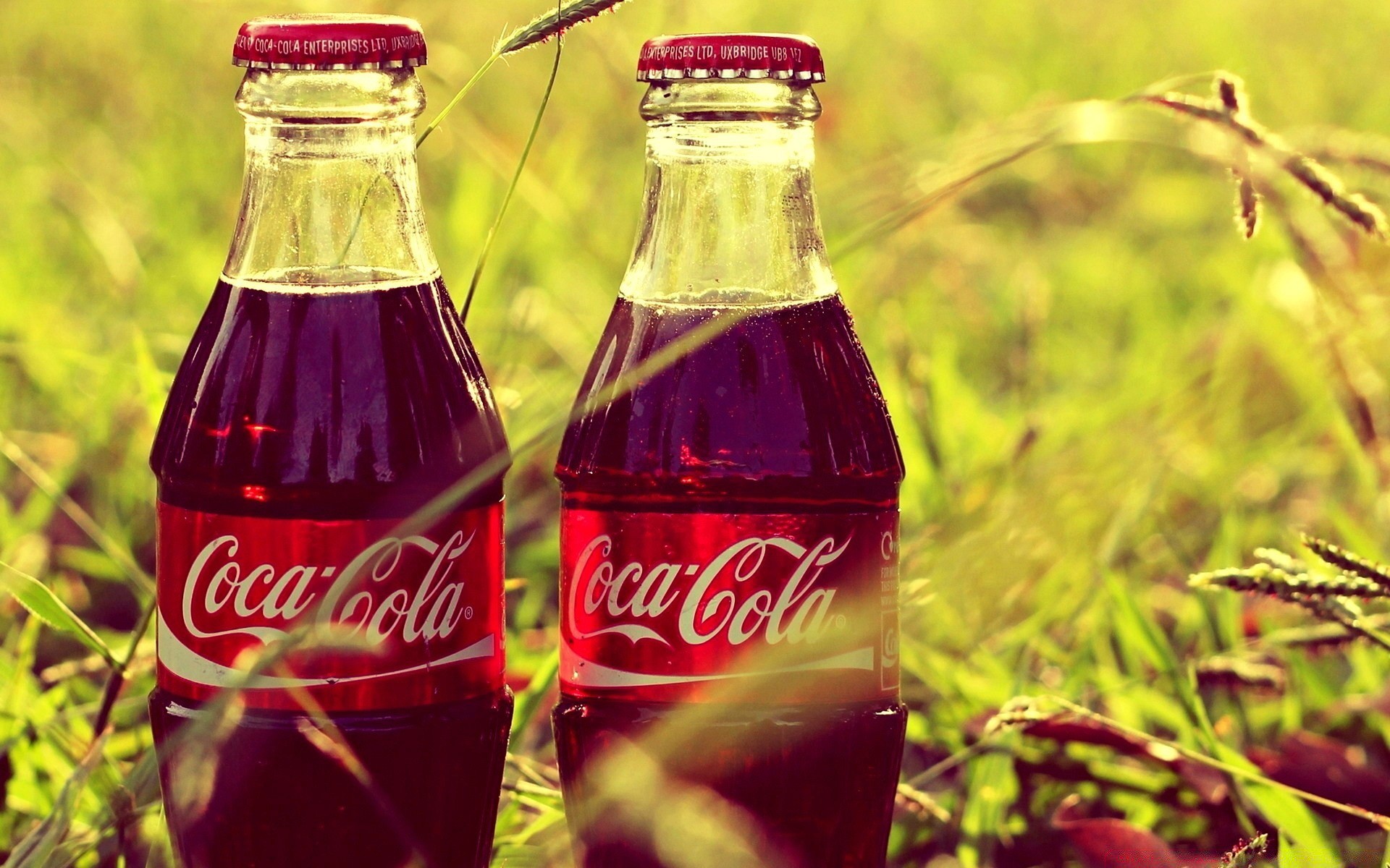 yaratıcı içme yaz cam ferahlatıcı soda meyve suyu doğa sıvı susuzluk yemek