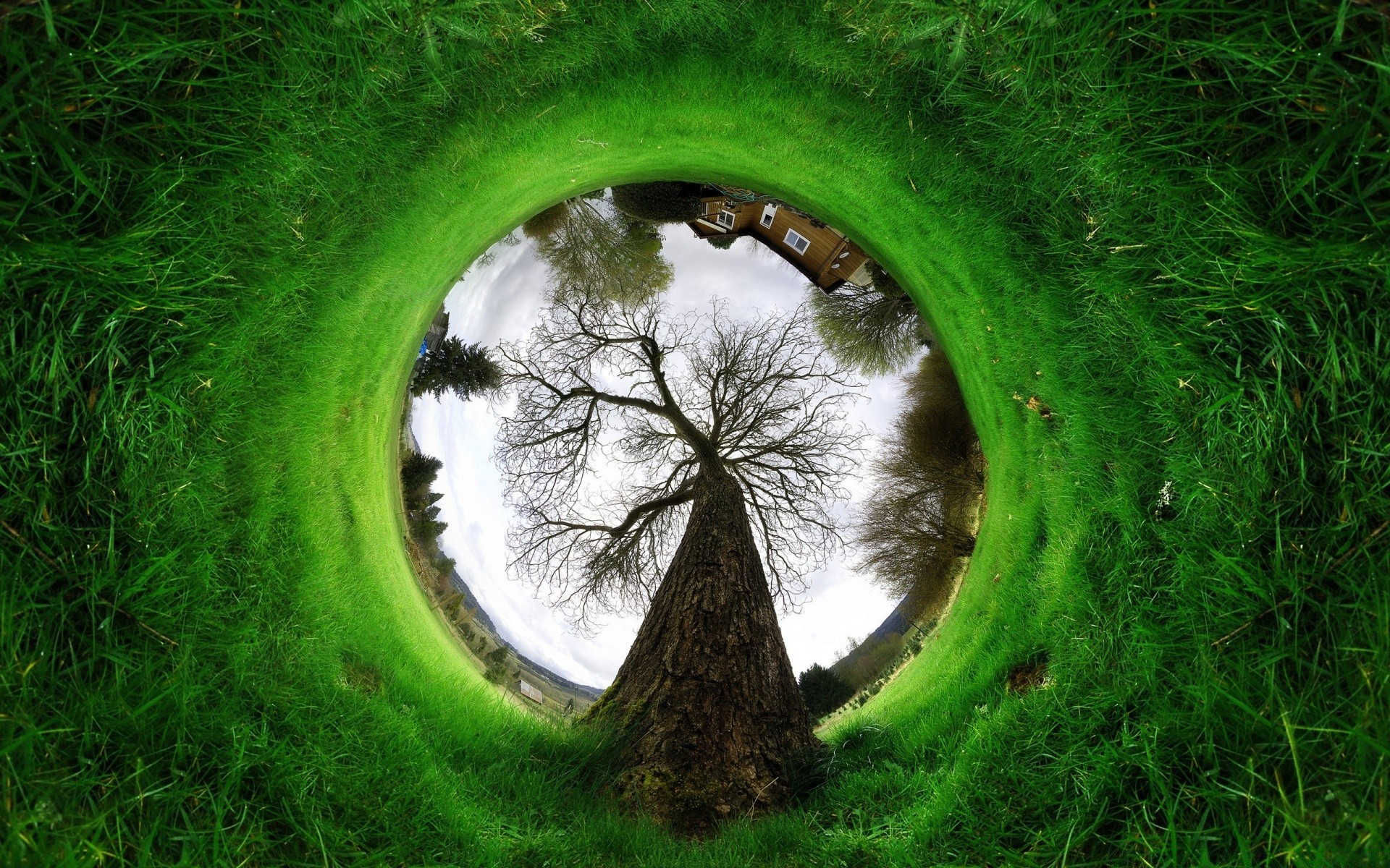 yaratıcı çimen doğa ortamlar çim manzara top şeklinde ekoloji açık havada yaz yaprak manzara alan park saman flora toprak