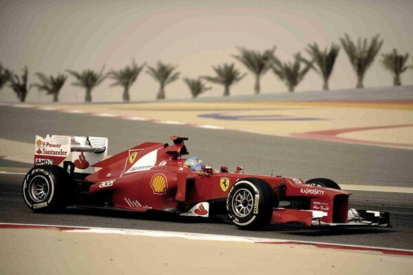 Alonso alonso ferrari ferrari bahreyn