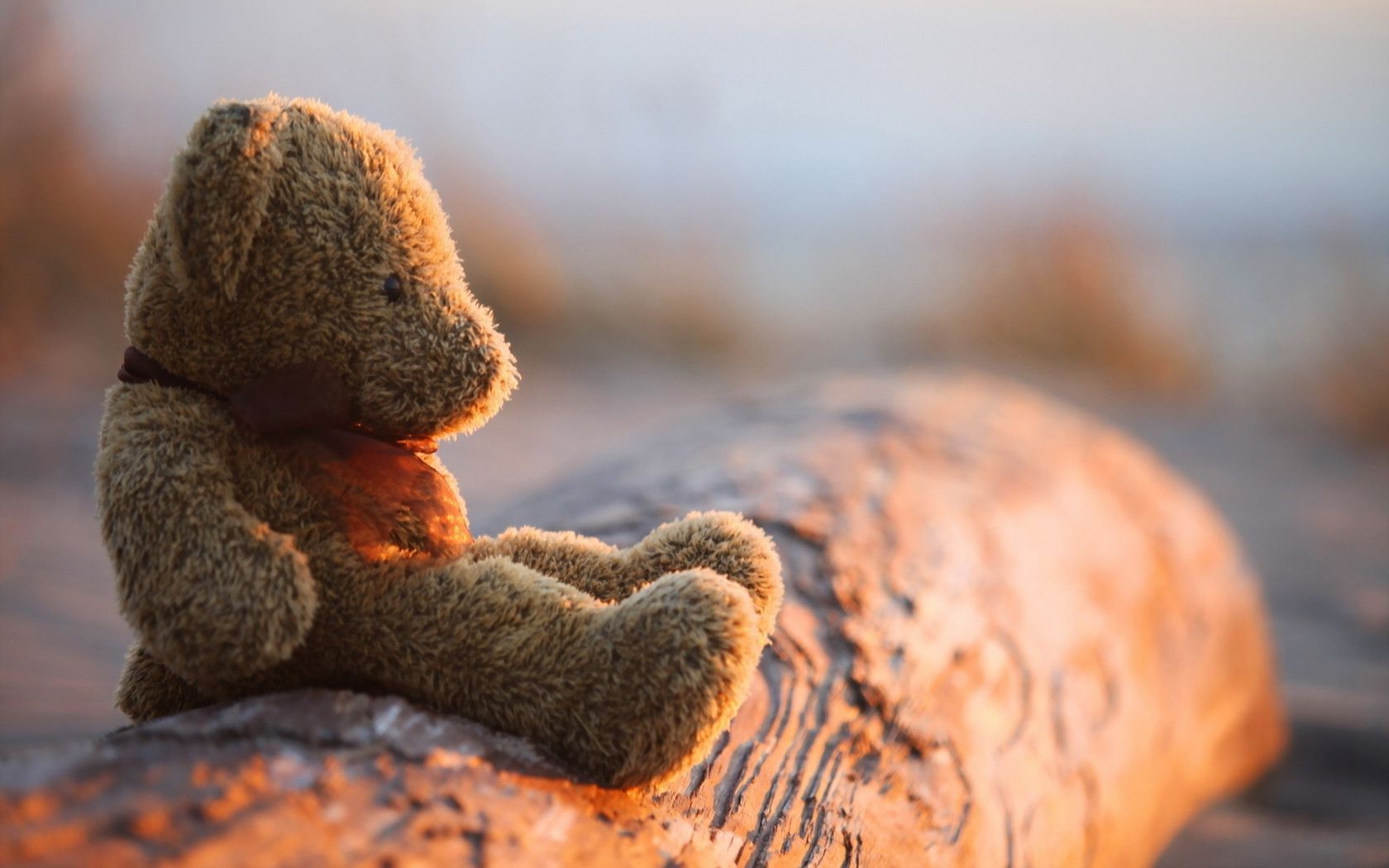 doğa açık havada gıda