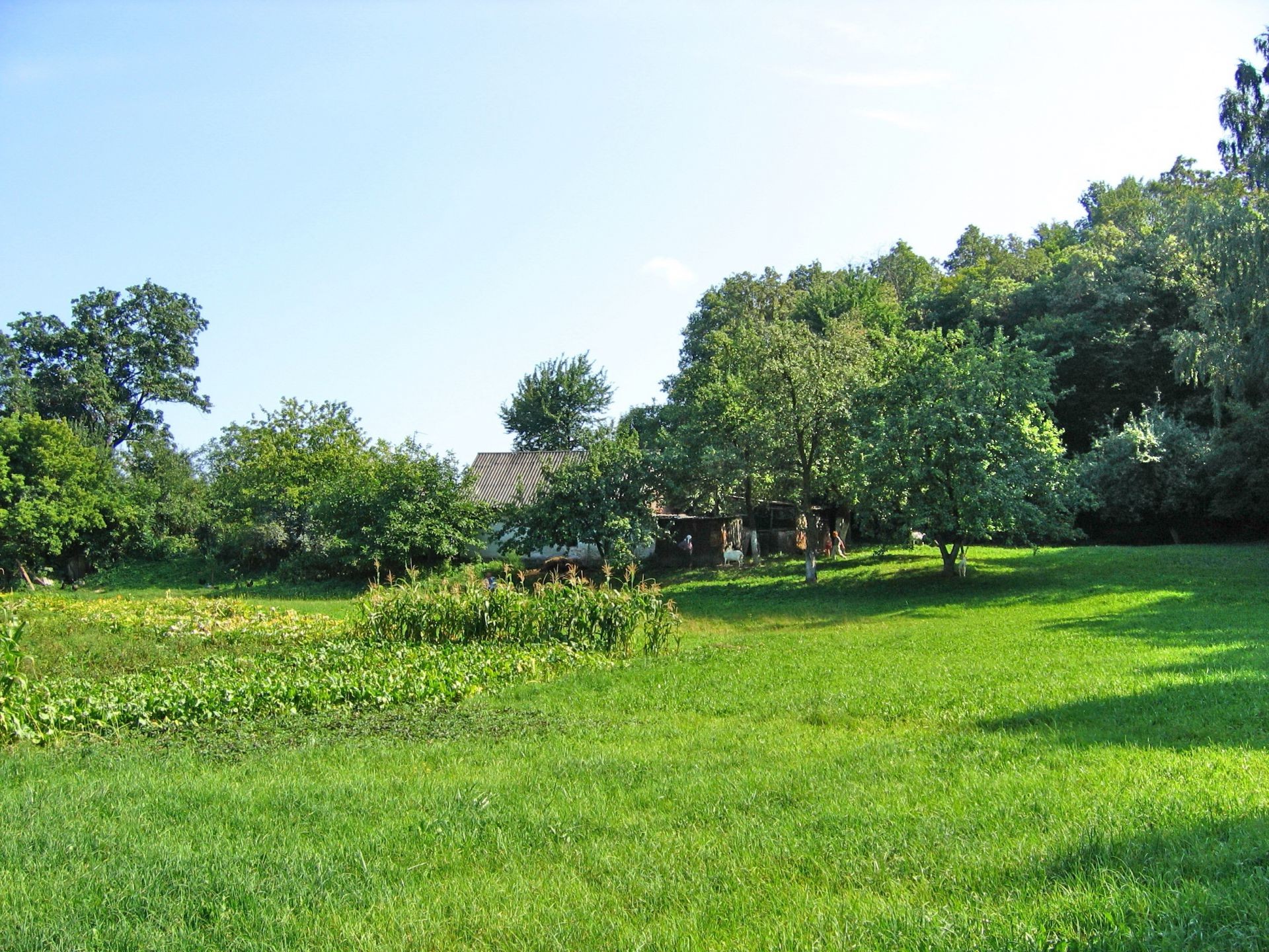 yaz çimen ağaç manzara doğa flora saman biçme makinesi çevre alan kırsal açık havada ahşap tarım çim kırsal bahçe park yaprak yemyeşil