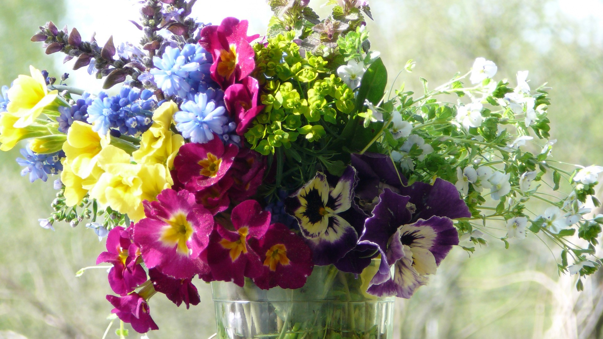 çiçek buketi flora doğa çiçek bahçe yaprak çiçek yaz çiçeklenme büyüme petal violet renk sezon parlak buket alan yakın çekim dekorasyon botanik