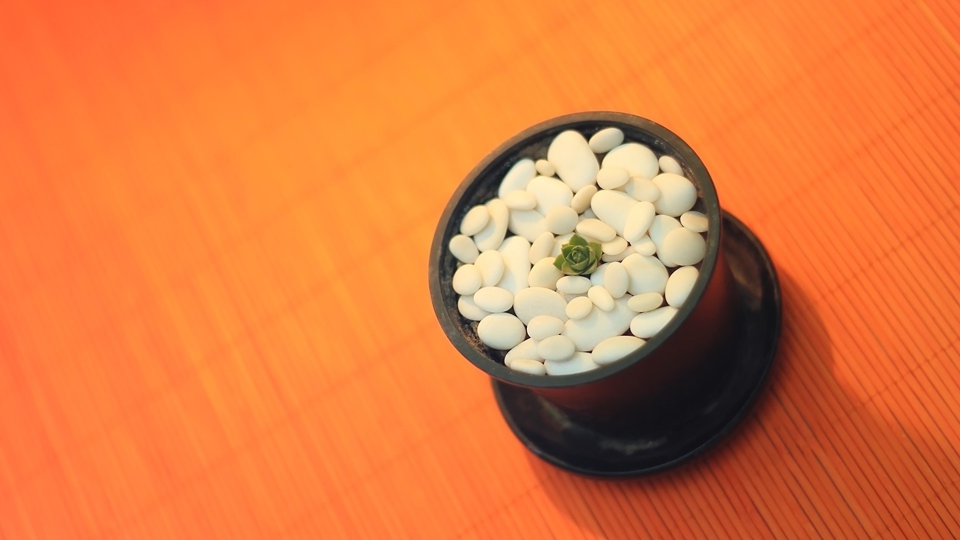 gıda tıp masaüstü sağlık kase ahşap natürmort sağlıklı