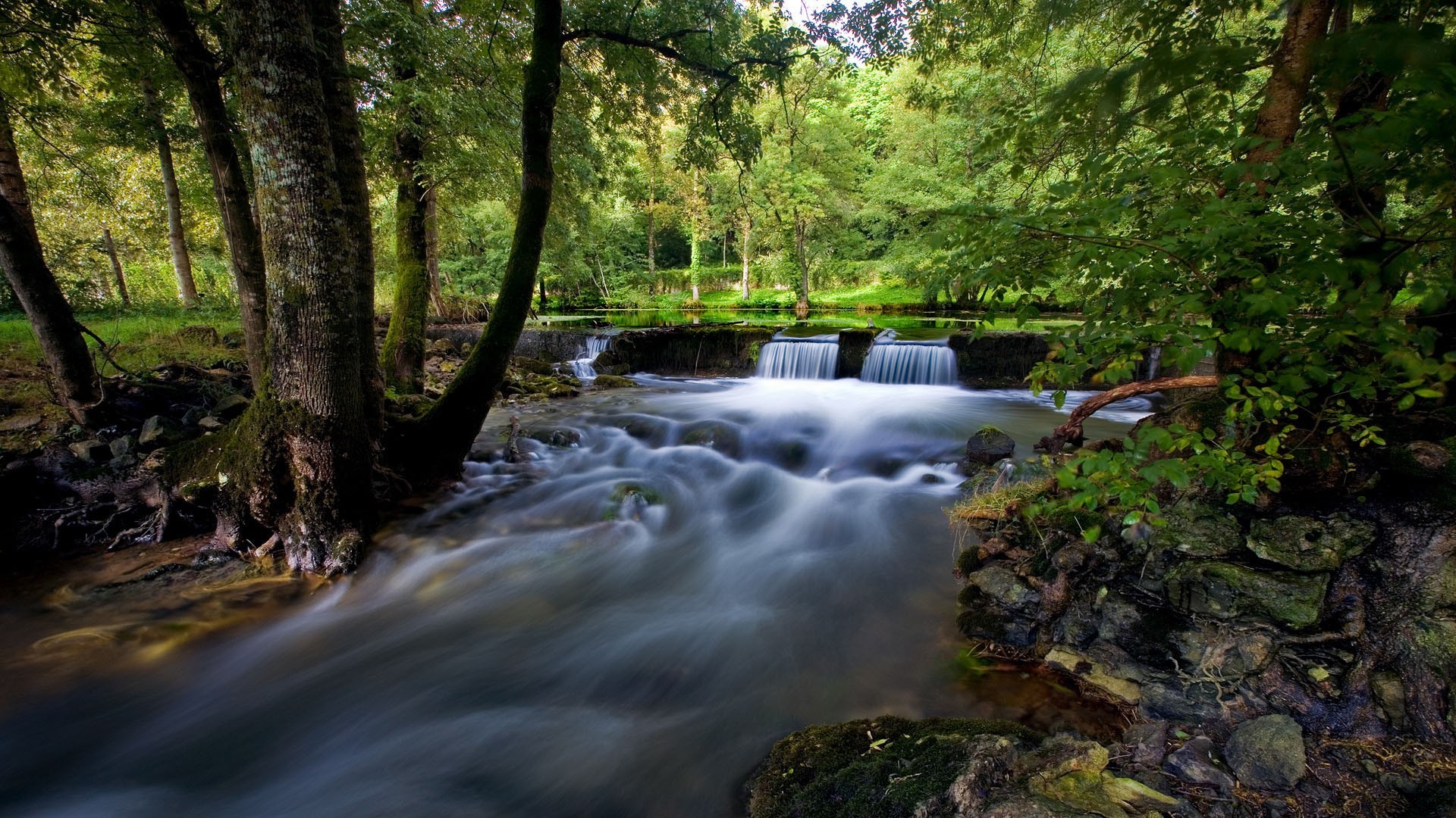 şelaleler su nehir ahşap şelale akış doğa sonbahar yaprak manzara dere ağaç yosun açık havada çağlayan park rapids ıslak kaya fotoğraf