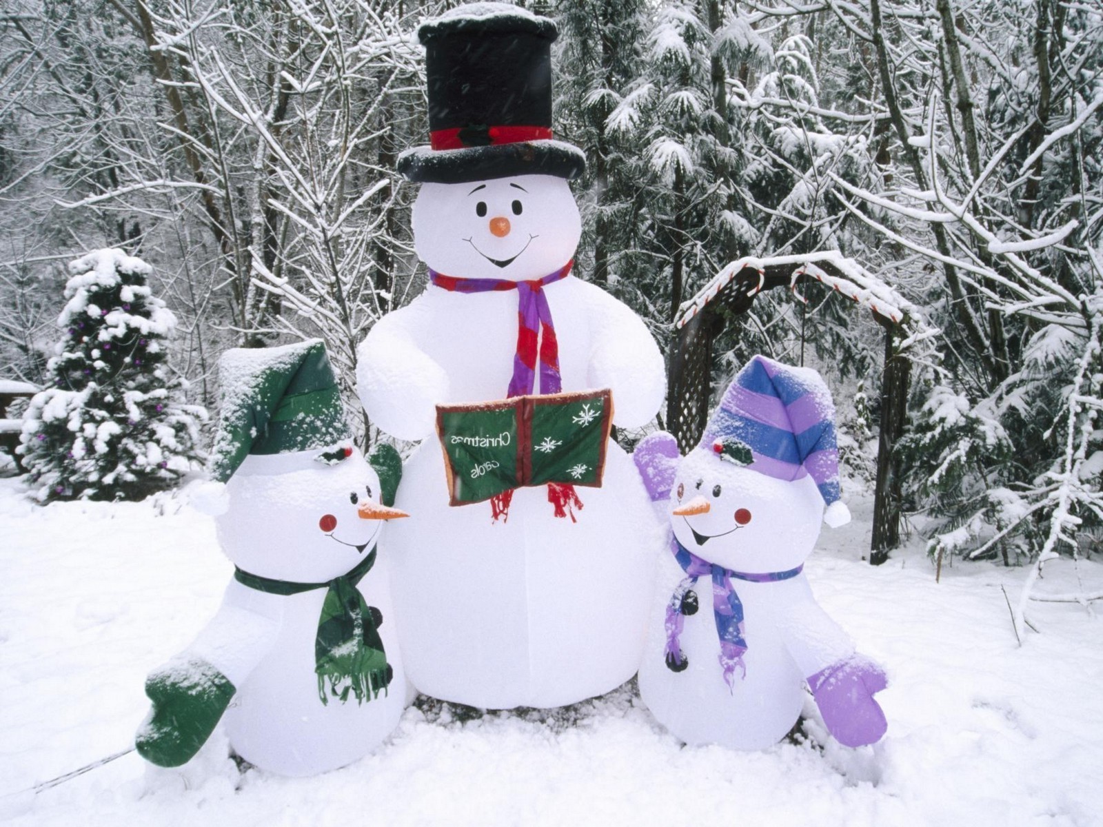 yeni yıl kış kar kardan adam noel soğuk don kartopu kar tanesi sezon buz ağaç kızak merry eşarp ahşap kapak kızak ayaz kar beyazı