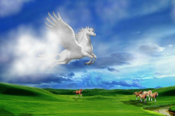 Beyaz Pegasus, atlı atların üzerinde uçuyor