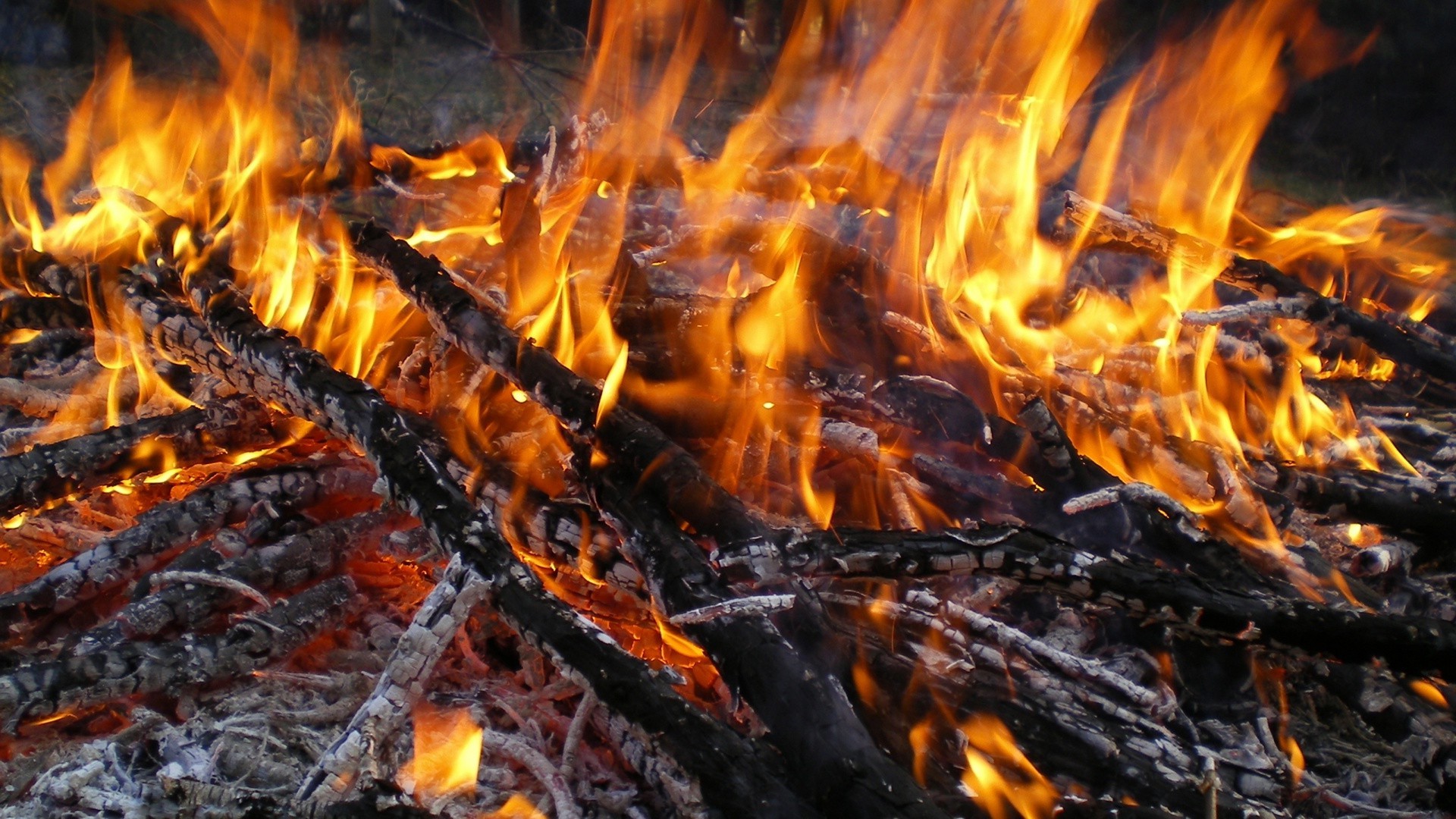 alev kamp ateşi şenlik ateşi ısı kömür şömine yakmak kömür yakacak odun kül sıcak cehennem gibi sıcak duman blaze yanıcı aydınlatmak yangın sıcaklık kamp ateşi
