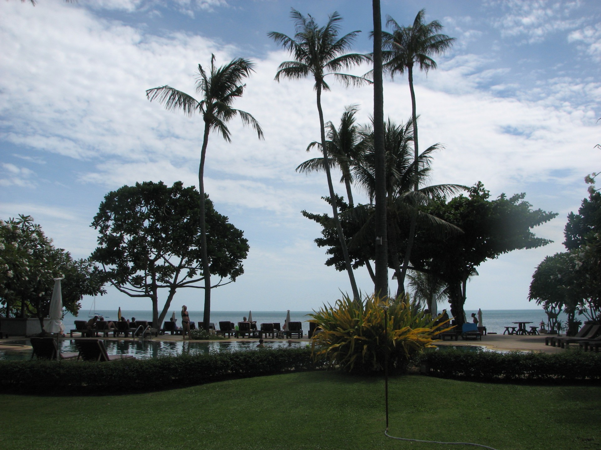 ağaç avuç içi çare tatil seyahat tropikal tatil otel tatil su gün ışığı ada plaj turizm denizler açık havada gökyüzü lüks park