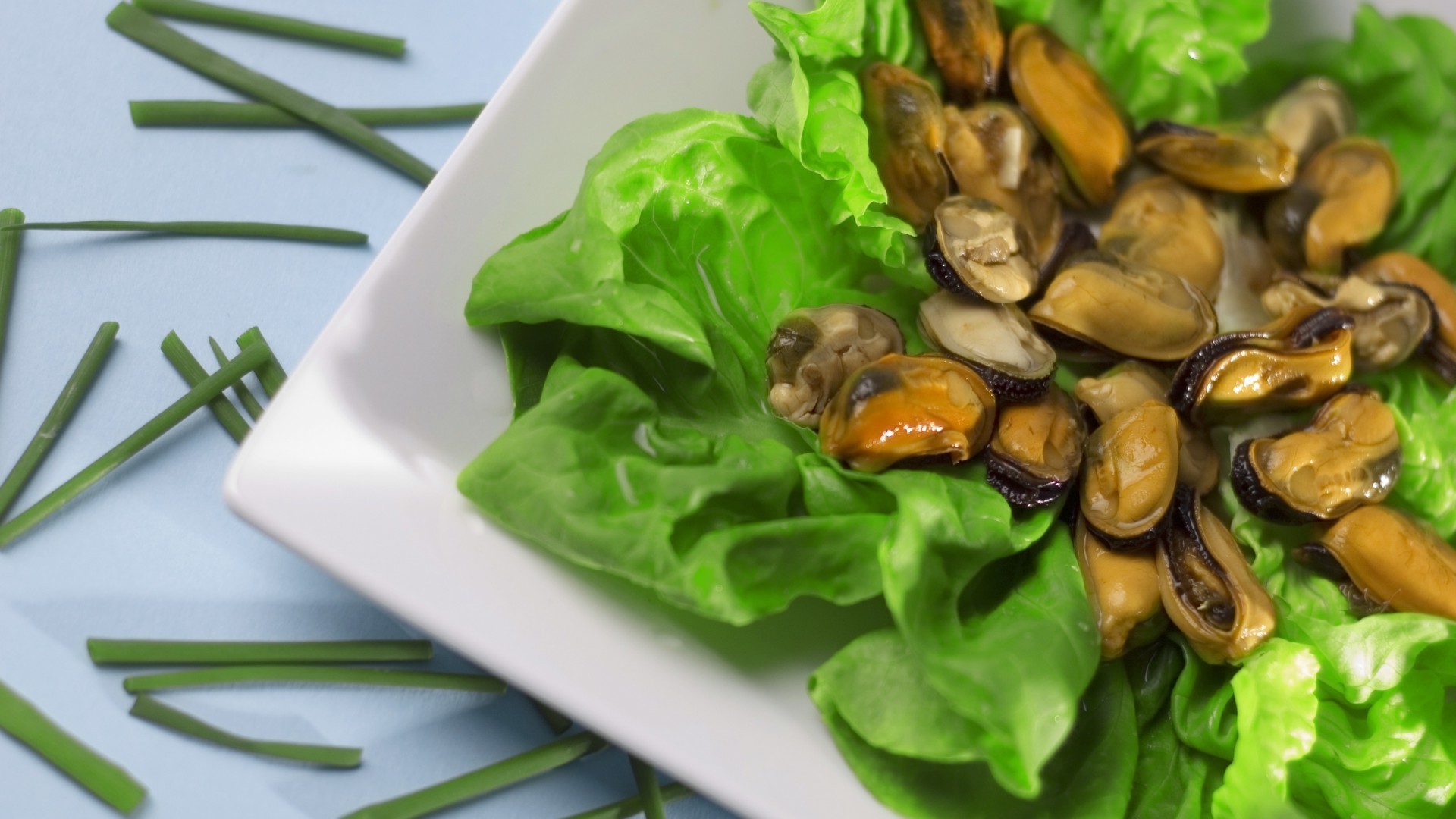 gıda sağlıklı sebze gıda mutfak yaprak yemek pişirme sağlık diyet salata yemek akşam yemeği yakın çekim çanak öğle yemeği lezzetli epikür masaüstü lezzetli