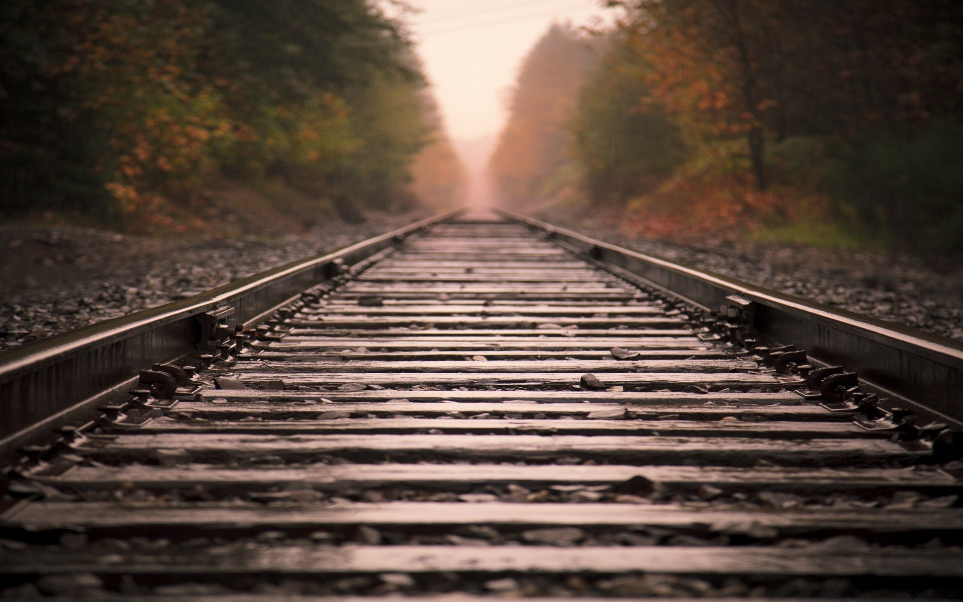 trenler demiryolu tren parça rehberlik ulaşım sistemi ışık seyahat outlook yol hat çelik ahşap manzara demir motor banliyö