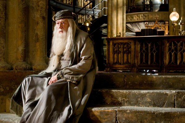 Bilge Okul Müdürü Harry Potter
