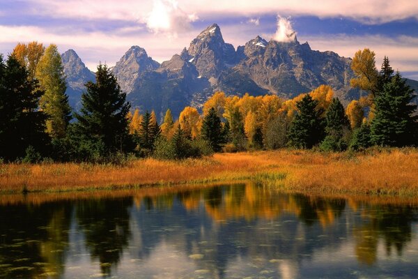 Dağların ve ormanın arka planındaki göl